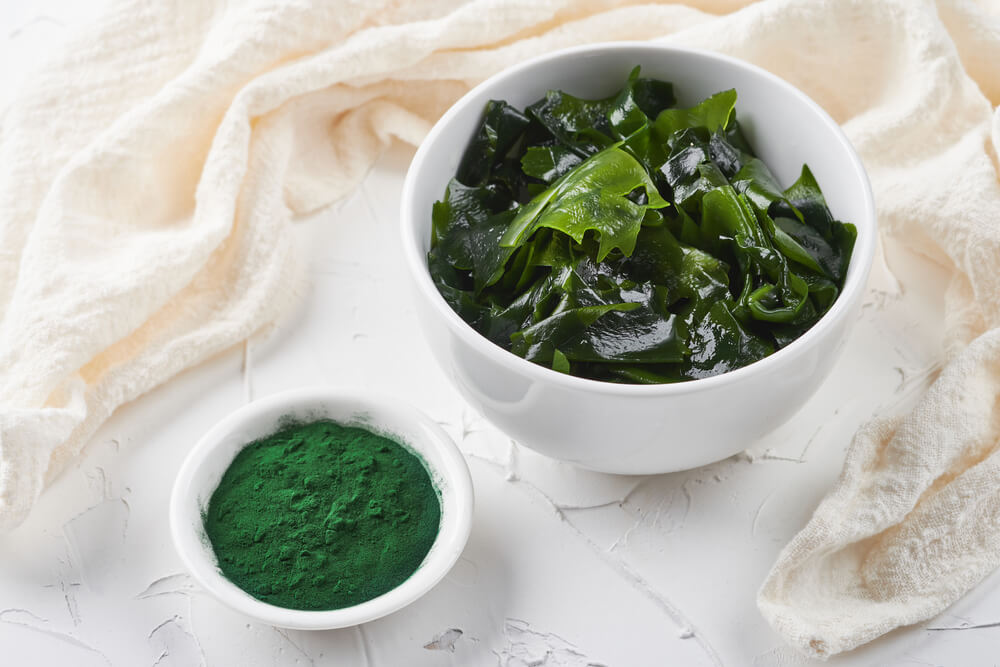 Mořská řasa spirulina v keramické misce - čerstvá a v prášku